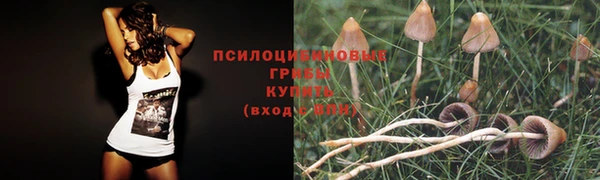прущие крисы Беломорск