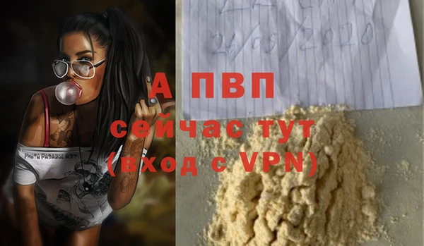 прущие крисы Беломорск